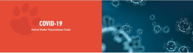 Webinar – 5/1/20 – AmPA! COVID-19 Preparedness Summit – American Pets Alive!