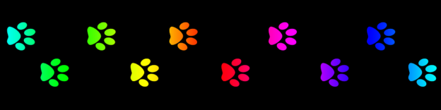 VIROX Webinar – Finding Connection in Times of Challenge