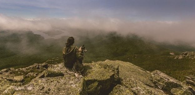 Webinar – 4/30/20 – COVID-19 Staff and Volunteer Morale – Best Friends