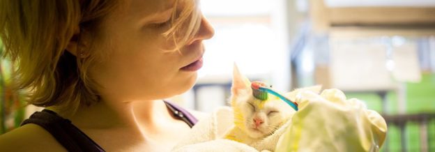 Advice Hour – Maddie’s Lifesaving Academy – Maddie’s Fund