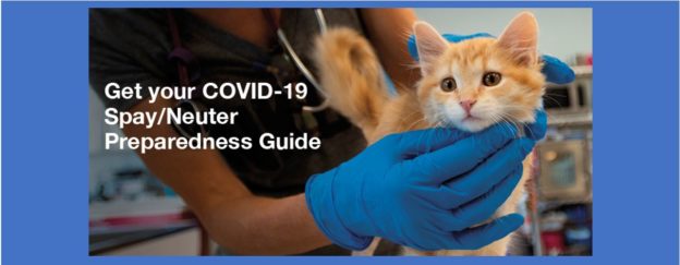 4/29/20 – ANNOUNCING: Just Released –  COVID-19 Spay/Neuter and Wellness Clinic Preparedness Guide