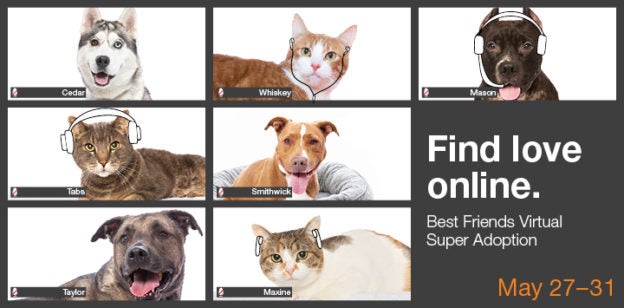 Online Adoption Event – 5/27/20 to 5/31/20 – Find Love Online: Best Friends Virtual Super Adoption