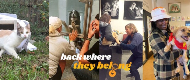 Online Event – 2/22/24 – What Found Feels Like Contest Deadline – Maddie’s Million Pet Challenge