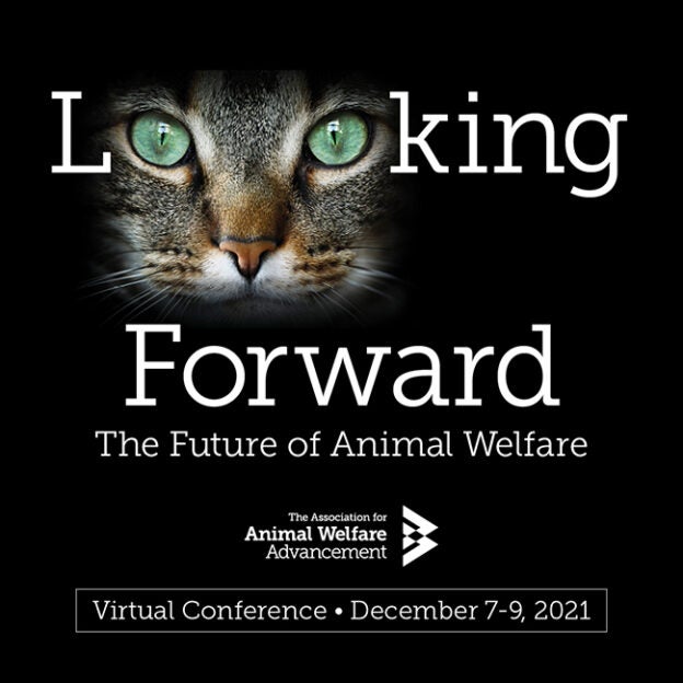 Online Conference – 12/7/21 to 12/9/21 – Looking Forward: The Future of Animal Welfare – The AAWA (fee applies)