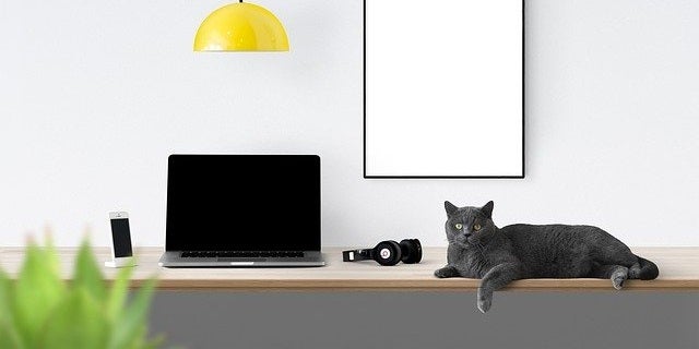 Webinar – 5/20/20 – Shifting Your Events Online During COVID-19 – GuideStar/GrantSpace