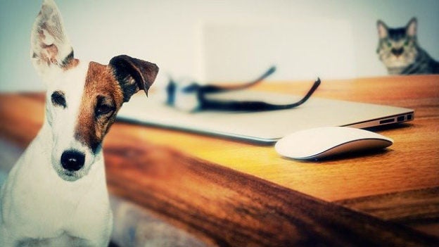 Webinar – 5/21/20 – COVID-19: Making the Case for a New Tomorrow – Best Friends