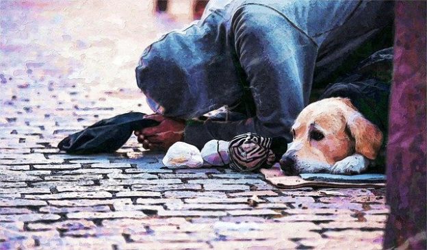 Webinar – 5/12/20 – Why Access to Pet Resources is a Social Justice Issue – UW Shelter Medicine