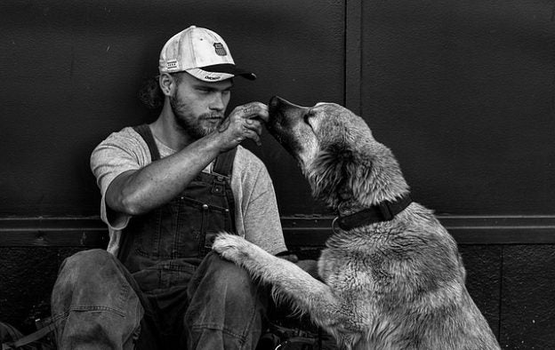 Webinar – 5/27/20 – Keeping Families Together: Pivoting Community Programming to Support People and Pets During COVID-19 Sponsored by PetHub