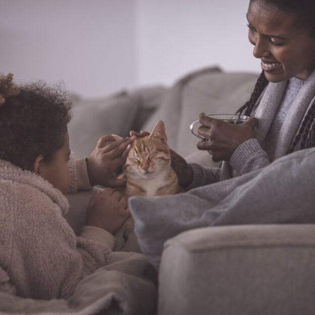 Webinar – 9/12/23 – Preserving the Human-Animal Bond: A holistic approach to fear, anxiety, and stress – Fear Free