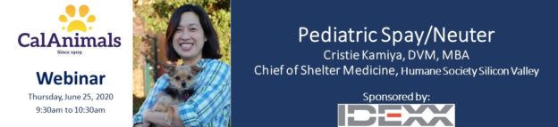 Webinar – 6/25/20 – Pediatric Spay/Neuter (Down to 1.5 Lbs) – CalAnimals – for CalAnimals Members Only – Sponsored by IDEXX