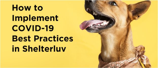 Webinar – 5/22/20 – ShelterLuv Shelter Software Best Practices Session – ShelterLuv
