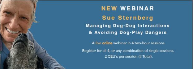 Webinar Series – Saturdays August 2020 – Managing Dog-Dog Interactions and Avoiding Dog-Play Dangers – Sue Sternberg – PuppyWorks