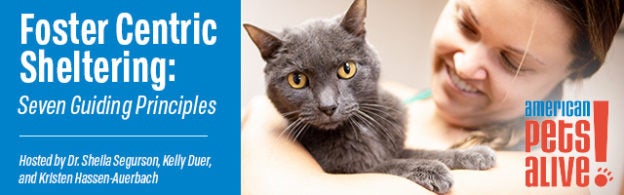 Webinar – 6/10/20 – Foster Centric Sheltering: Seven Guiding Principles – AmPa!