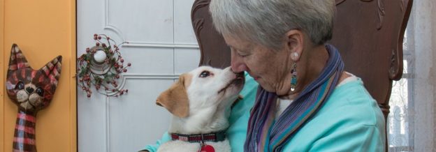 Webinar – 6/18/20 – Supporting and Engaging Foster Caregivers During COVID-19 – Maddie’s Fund