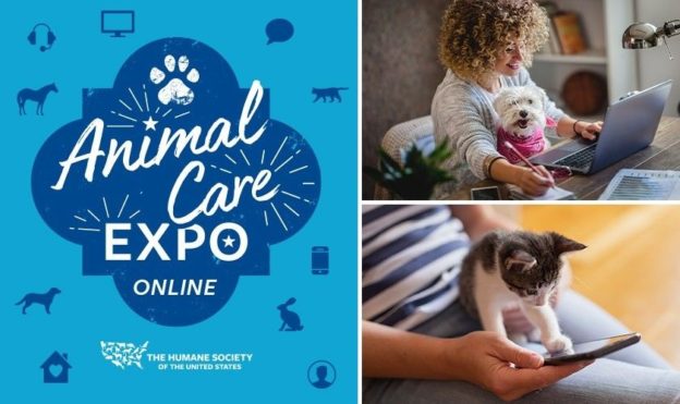 Online Conference – July 22 to 24, 2020 – HSUS Animal Care Expo Online – HSUS