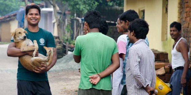 Webinar – 6/15/20 – ICAM webinar: Dog and Cat Population Management During the COVID-19 Pandemic – ICAM