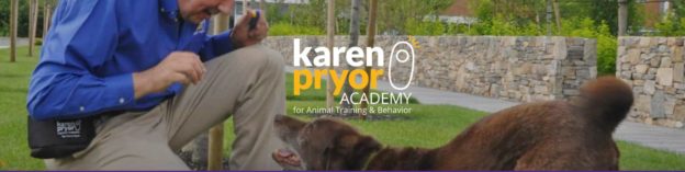 Online Event – 6/11/20 – Chirag Patel Discussing Animal Choice and Control as well as Positive Reinforcement Principles and Husbandry – Karen Pryor Academy