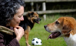 Online Event – 7/2/20 – Live From the Ranch – Ken Ramirez with Kathy Sdao – Training and Observational Skills – Karen Pryor Academy