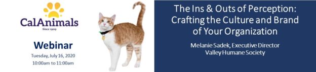 Webinar – 7/16/20 – The Ins & Outs of Perception: Crafting the Culture and Brand of Your Organization – CalAnimals for CalAnimals Members