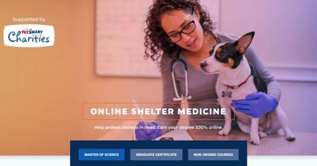 Take Your Learning to the Next Level!