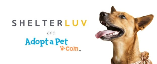 Webinar – 6/24/20 – Adopter Search Trends – Best Practices Session – ShelterLuv and AdoptAPet.com