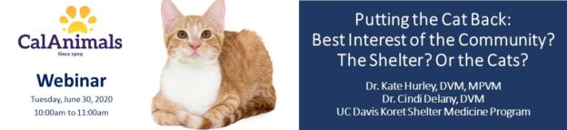 Webinar – 6/30/20 – Putting the Cat Back – Dr. Kate Hurley & Dr. Cindi Delany – CalAnimals (for CalAnimals Members)