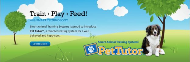 Online Event – 6/25/20 – Pet Tutor Remote Reinforcement for Animal Training – Pet Tutor