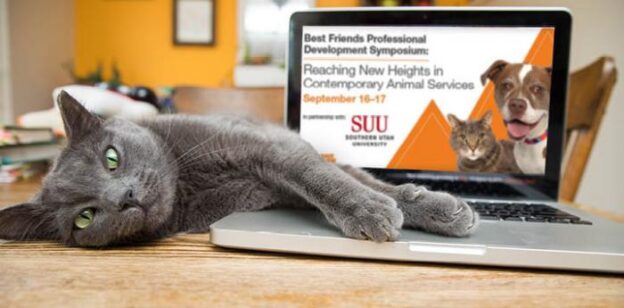 Online Conference – 9/16/20 to 9/17/20 – Best Friends Professional Development Symposium: Reaching New Heights in Contemporary Animal Services – Best Friends