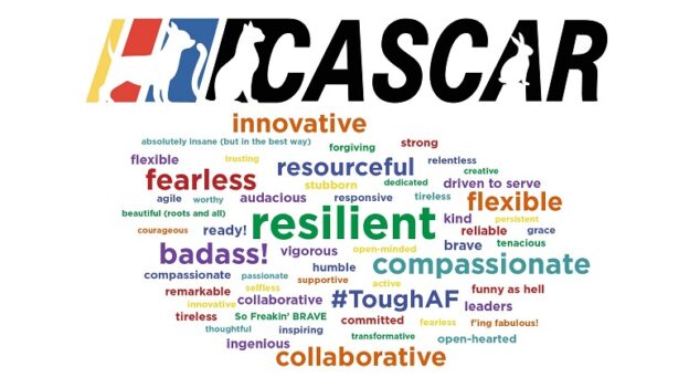 Online Meeting – CASCAR – 7/7/20 – California Animal Shelters – UC Davis Koret Shelter Medicine Program