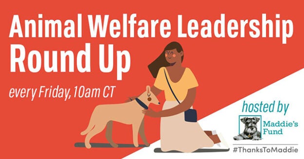 Online Meeting – Fridays – Animal Welfare Leadership Round Up – Hosted by Maddie’s Fund