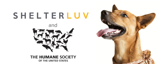 Webinar – 7/29/20 – Disaster Planning and Community-Level Communication – ShelterLuv with HSUS