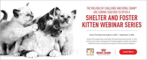 Million Cat Challenge: Kitten Care in the Shelter – August 27, 2020