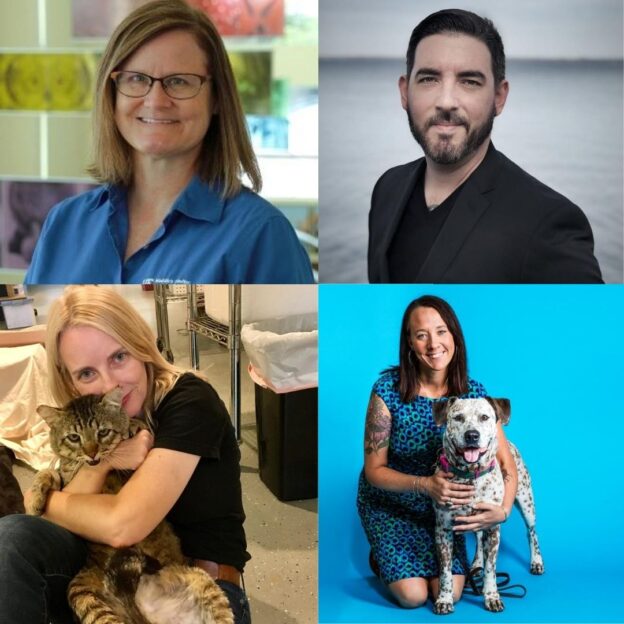 This Thursday (8/13/20): Support for Kittens in the Field