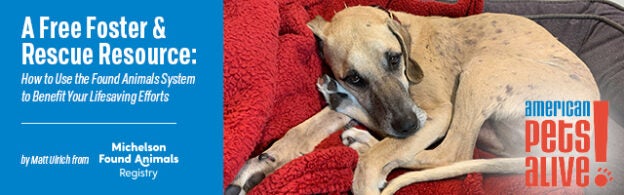 Webinar – 8/12/20 – How to Use the Found Animals system to Benefit Your Life-Saving Efforts – AmPa!