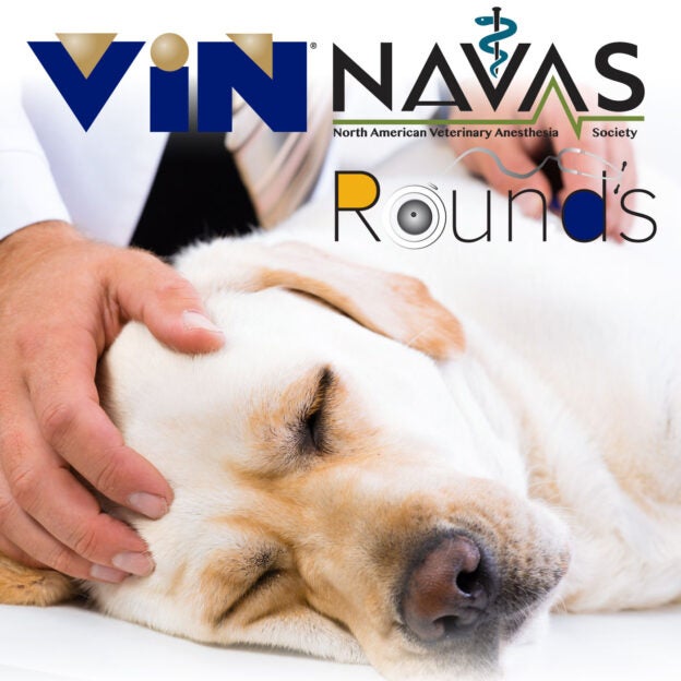 VIN Rounds – 8/13/20 – Anesthesia for Patients with Comorbidities – VIN (for VIN members)