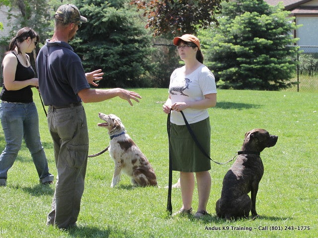 Webinar Series – 9/9/20 – Training Animals in the Shelter – Alive and Thriving Animal Behavior Seminars – Kelly Bollen