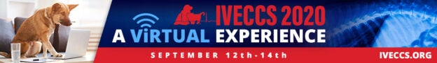 Online Conference – 9/12/20 to 9/14/20 – IVECCs – Veterinary Emergency and Critical Care Society (fee applies)