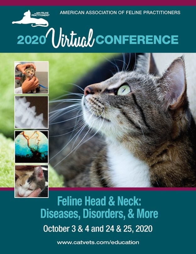 Online Conference – 10/3/20, 10/4/20, 10/24/20 and 10/25/20 – Feline Head & Neck –  Diseases, Disorders and More – AAFP (fee applies)