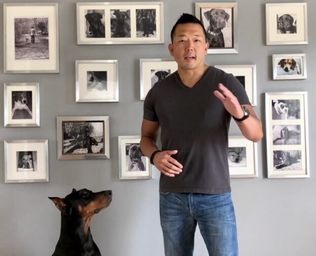 Online Event – 9/17/20 – Ken Ramirez and Michael Shikashio Talk About Aggression in Dogs – Karen Pryor Academy