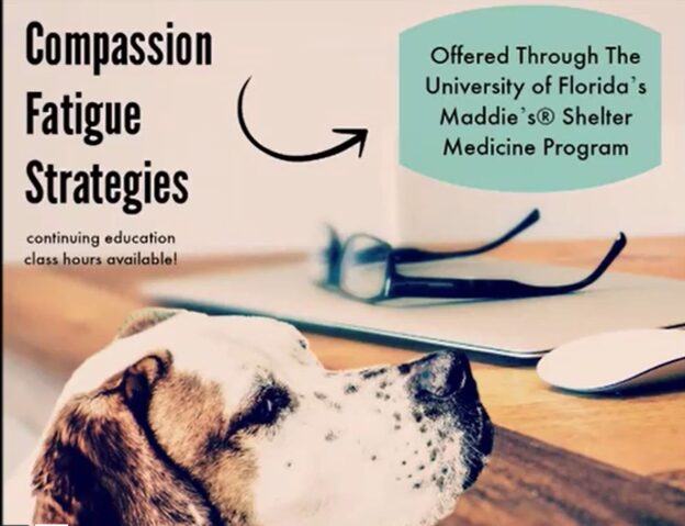 Online Course – Starts 9/28/20 – Compassion Fatigue Strategies – University of Florida – Maddie’s Shelter Medicine Program (fee applies)
