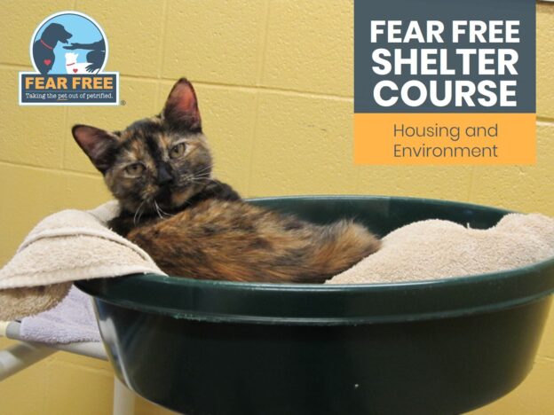 Brand New Fear Free Course for Shelters! – Fear Free Housing and Environment