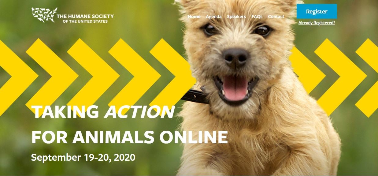 Online Conference – 9/19/20 and 9/20/20 – Taking Action for Animals Online  – HSUS (fee applies) – Learniverse ShelterMedPortal