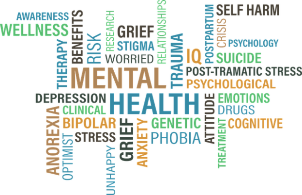 Webinar – 9/14/20 – Mental Health in Veterinary Medicine: Are we in dire straits? – VetGirl