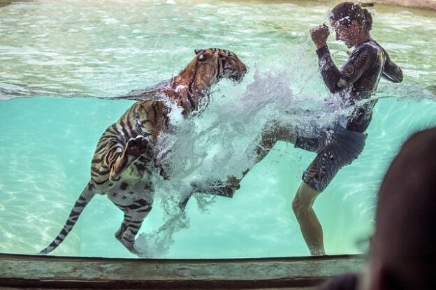 Webinar – 10/5/20 – Shaping Behavior in Animals – Part 1 – Natural Encounters (fee applies)