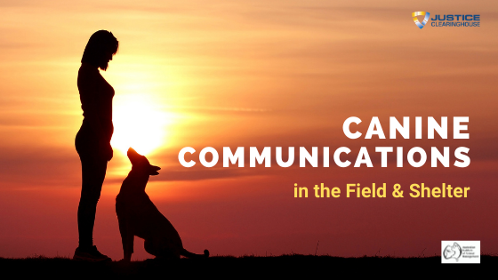 Canine Communication