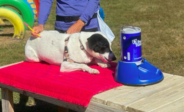 Webinar – 10/27/20 – Pet Tutor Application Webinar with Eileen Udry – Pet Tutor