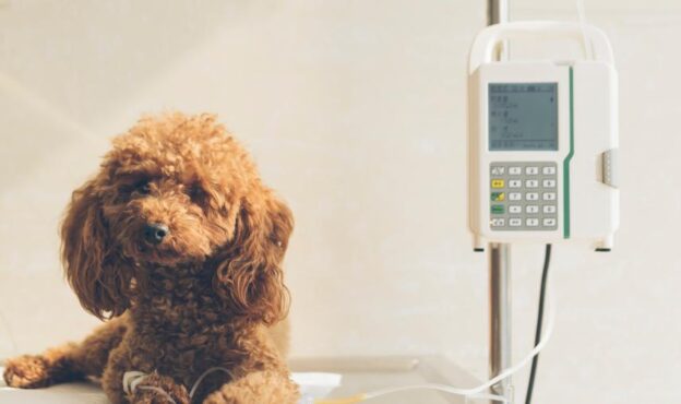 Webinar – 11/13/20 – Fluid Therapy for the Surgical Patient – Think Anesthesia