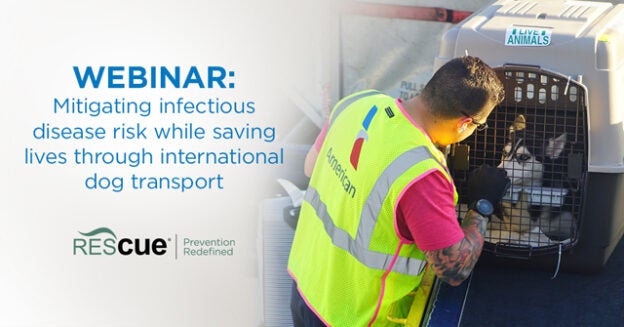 Webinar – 11/12/20 – Dogs on the Move​​​​​​ – Mitigating infectious disease risk while saving lives through international dog transport – Virox