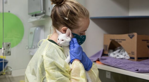 ASPCA has grant funds of $2,000,000 for COVID-19 Relief for Shelters – deadline to apply 10/12/20!