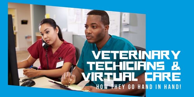 Webinar – 10/14/20 – Veterinary Technicians and Virtual Care – How they go hand in hand! – The Bridge Club